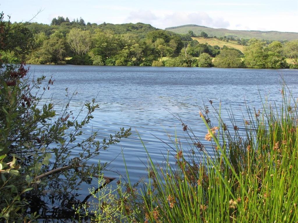 Lake House Dunmanway Buitenkant foto