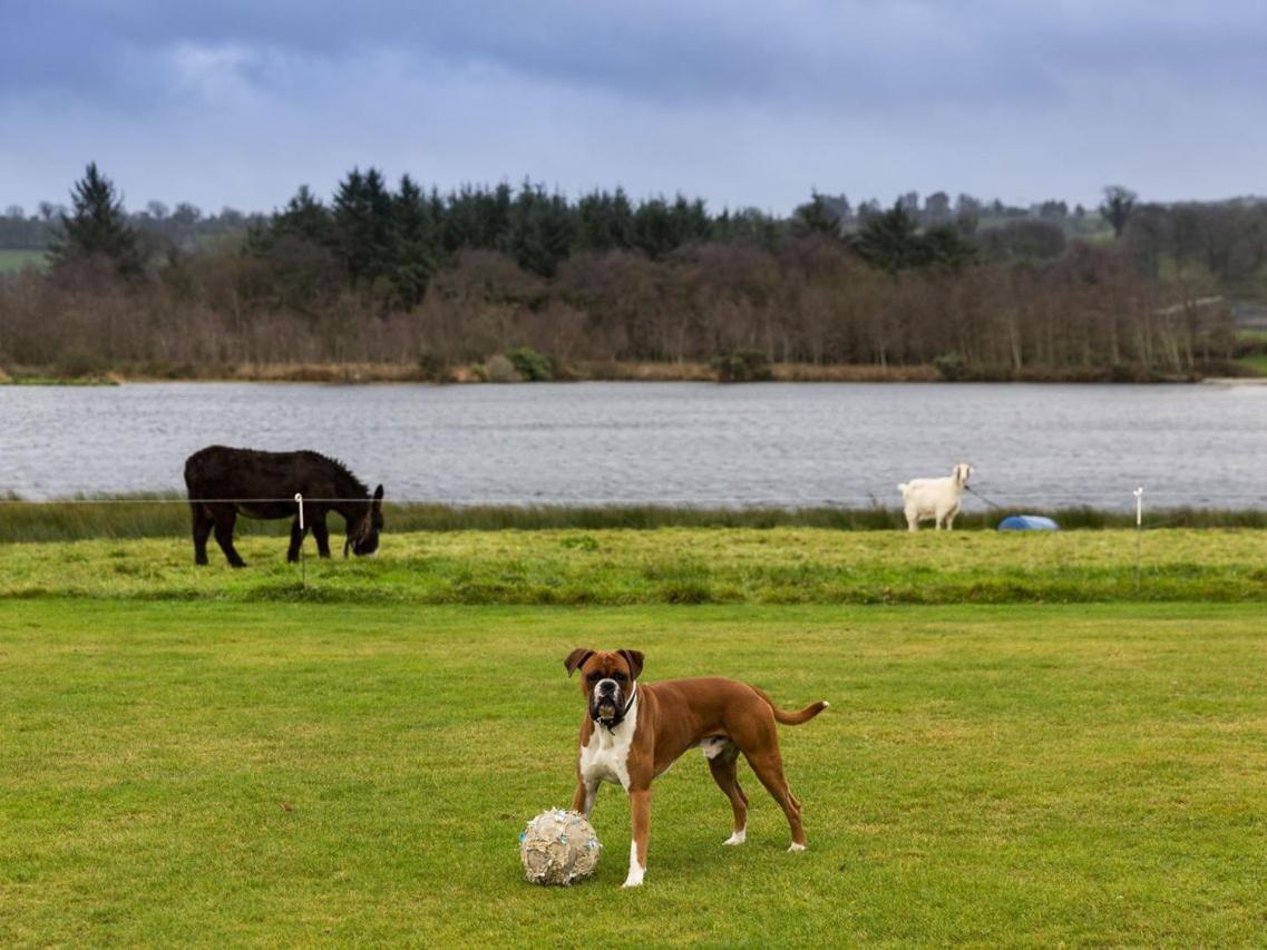 Lake House Dunmanway Buitenkant foto