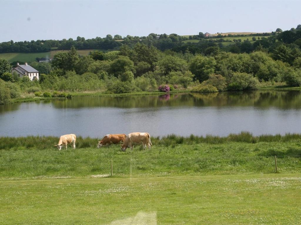 Lake House Dunmanway Buitenkant foto