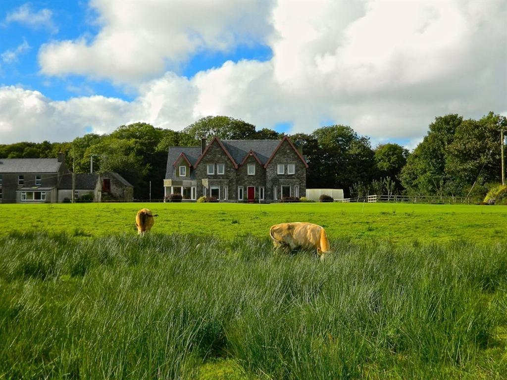 Lake House Dunmanway Buitenkant foto
