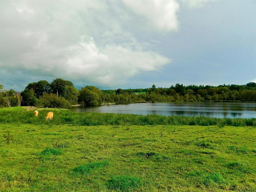 Lake House Dunmanway Buitenkant foto